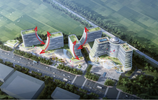 jinnianhui���� - �����