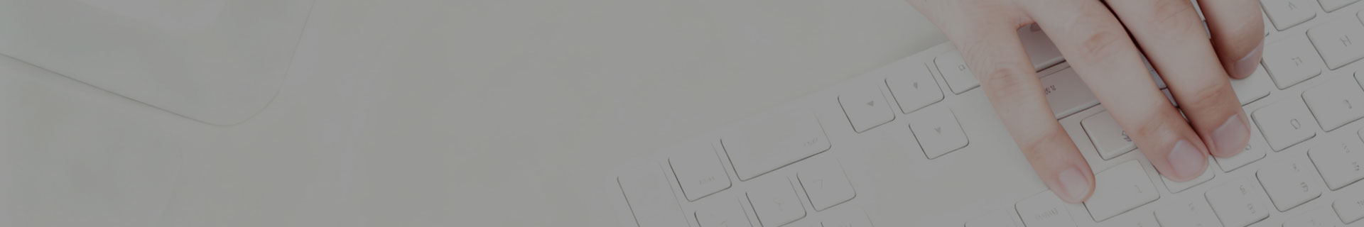 jinnianhui���� - �����