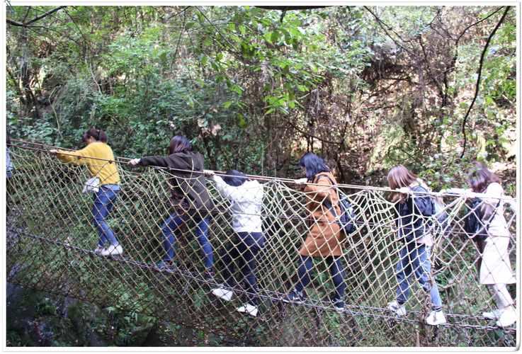 jinnianhui���� - �����