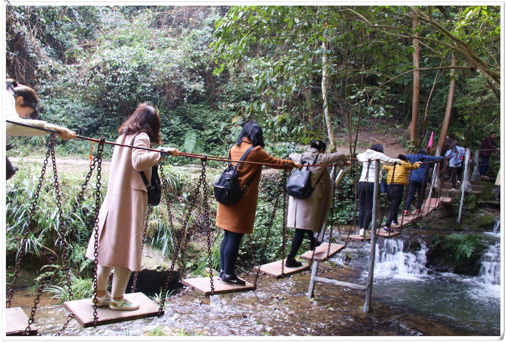 jinnianhui���� - �����