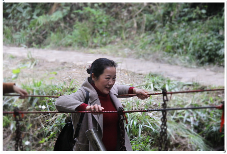 jinnianhui���� - �����