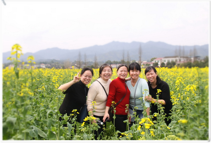 jinnianhui���� - �����