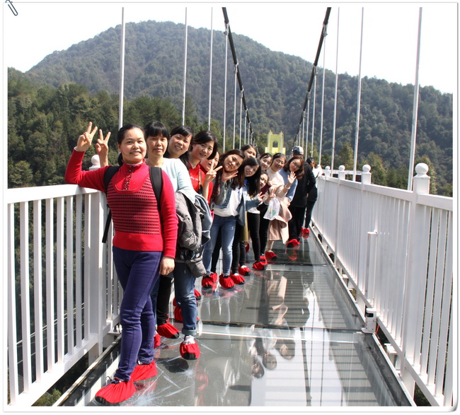 jinnianhui���� - �����