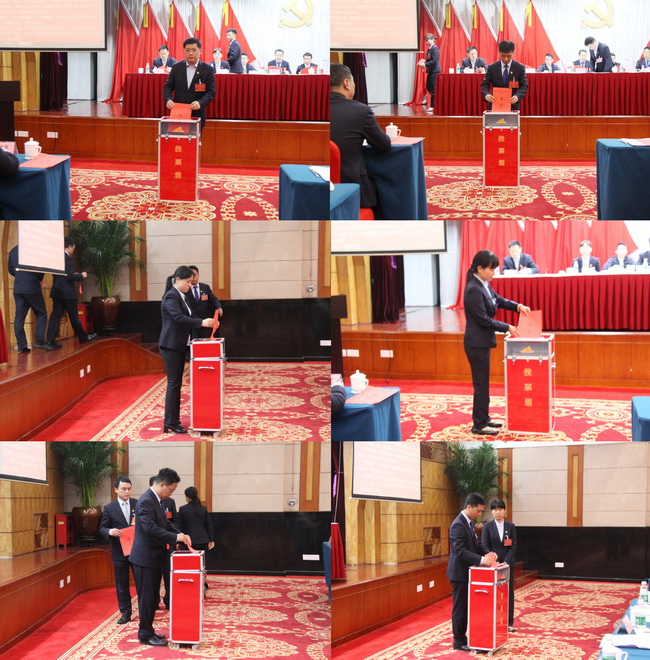 jinnianhui���� - �����