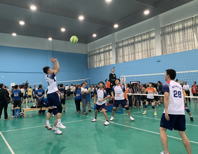 jinnianhui���� - �����