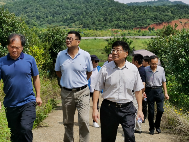 jinnianhui���� - �����