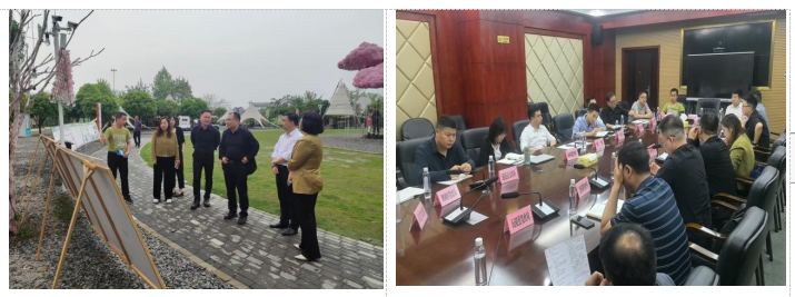 jinnianhui���� - �����