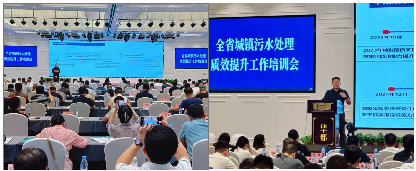 jinnianhui¹ÙÍø - ½ðÄê»á